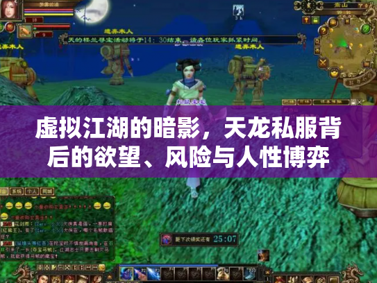 虚拟江湖的暗影，天龙私服背后的欲望、风险与人性博弈