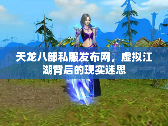 天龙八部私服发布网，虚拟江湖背后的现实迷思