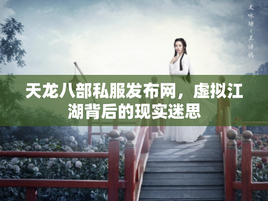 天龙八部私服发布网，虚拟江湖背后的现实迷思