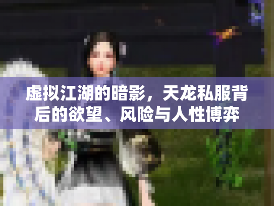 虚拟江湖的暗影，天龙私服背后的欲望、风险与人性博弈