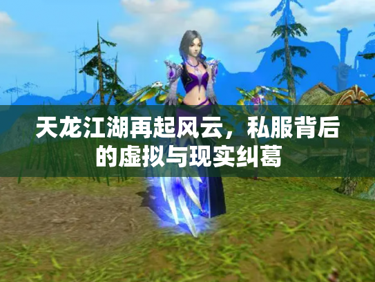 天龙江湖再起风云，私服背后的虚拟与现实纠葛