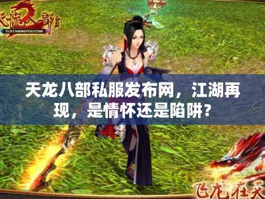 天龙八部私服发布网，江湖再现，是情怀还是陷阱？