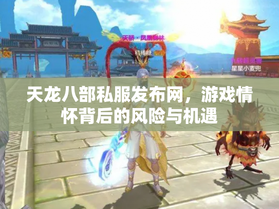 天龙八部私服发布网，游戏情怀背后的风险与机遇