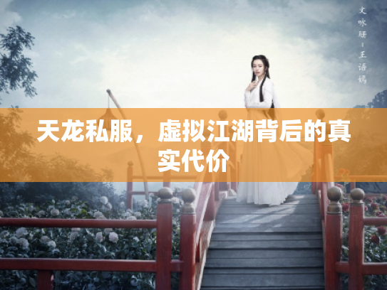 天龙私服，虚拟江湖背后的真实代价