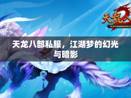 天龙八部私服，江湖梦的幻光与暗影