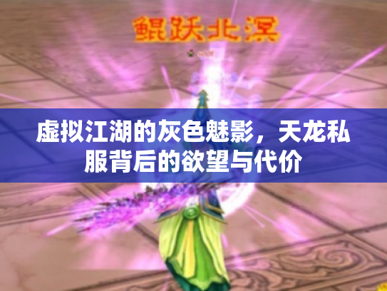虚拟江湖的灰色魅影，天龙私服背后的欲望与代价