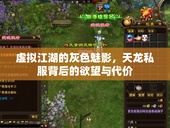 虚拟江湖的灰色魅影，天龙私服背后的欲望与代价