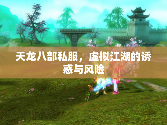 天龙八部私服，虚拟江湖的诱惑与风险
