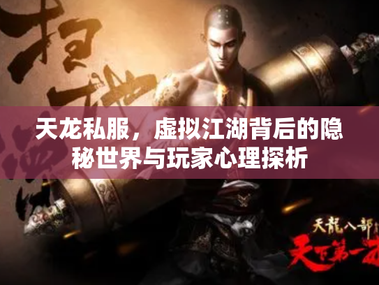 天龙私服，虚拟江湖背后的隐秘世界与玩家心理探析