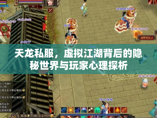 天龙私服，虚拟江湖背后的隐秘世界与玩家心理探析