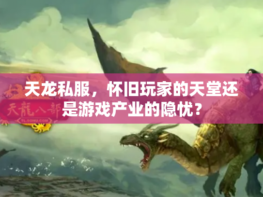 天龙私服，怀旧玩家的天堂还是游戏产业的隐忧？
