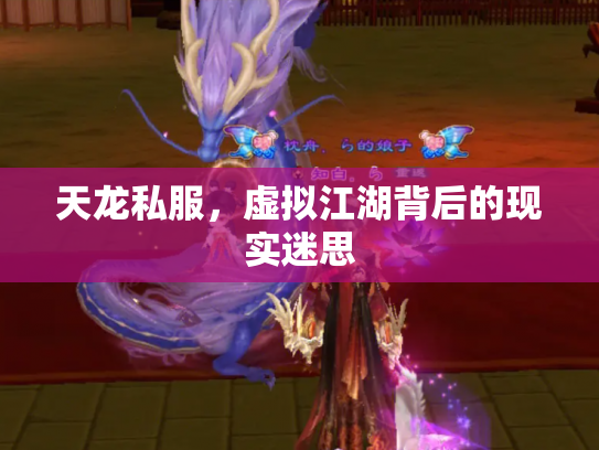 天龙私服，虚拟江湖背后的现实迷思