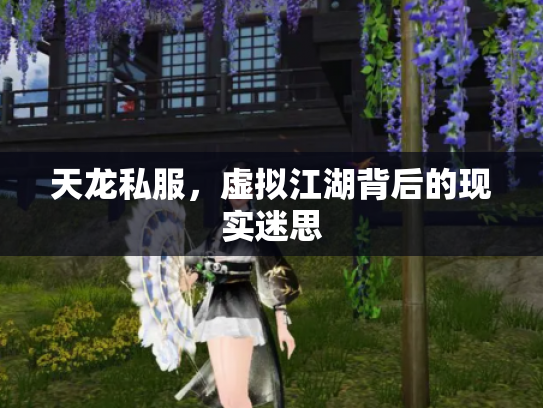 天龙私服，虚拟江湖背后的现实迷思