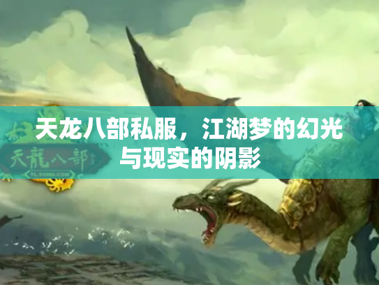 天龙八部私服，江湖梦的幻光与现实的阴影