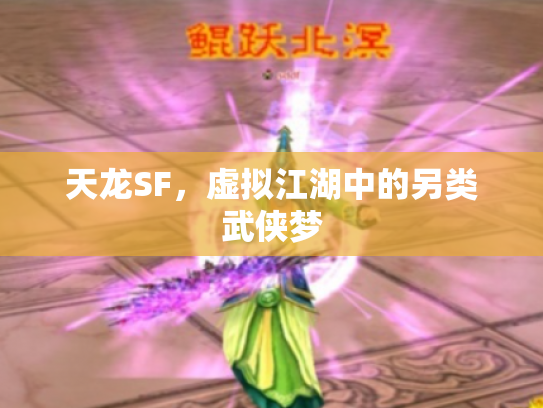 天龙SF，虚拟江湖中的另类武侠梦