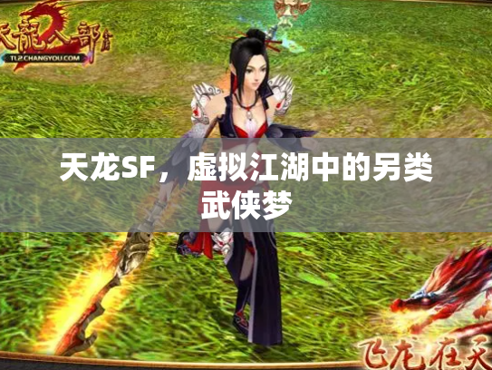 天龙SF，虚拟江湖中的另类武侠梦