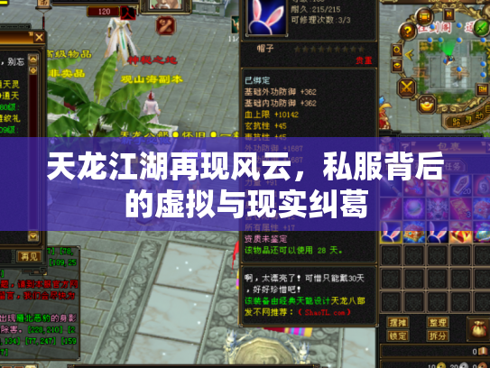 天龙江湖再现风云，私服背后的虚拟与现实纠葛