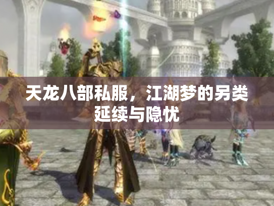 天龙八部私服，江湖梦的另类延续与隐忧