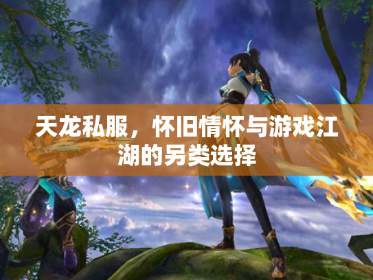 天龙私服，怀旧情怀与游戏江湖的另类选择