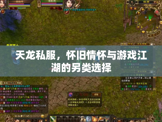 天龙私服，怀旧情怀与游戏江湖的另类选择