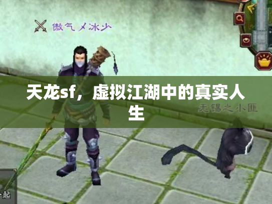 天龙sf，虚拟江湖中的真实人生