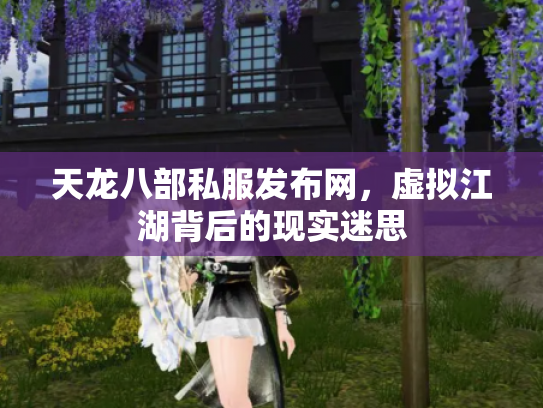天龙八部私服发布网，虚拟江湖背后的现实迷思