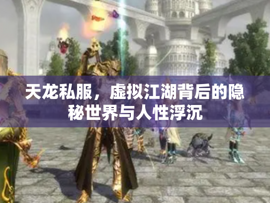 天龙私服，虚拟江湖背后的隐秘世界与人性浮沉