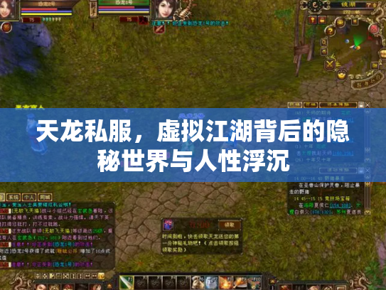 天龙私服，虚拟江湖背后的隐秘世界与人性浮沉