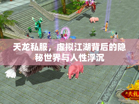 天龙私服，虚拟江湖背后的隐秘世界与人性浮沉