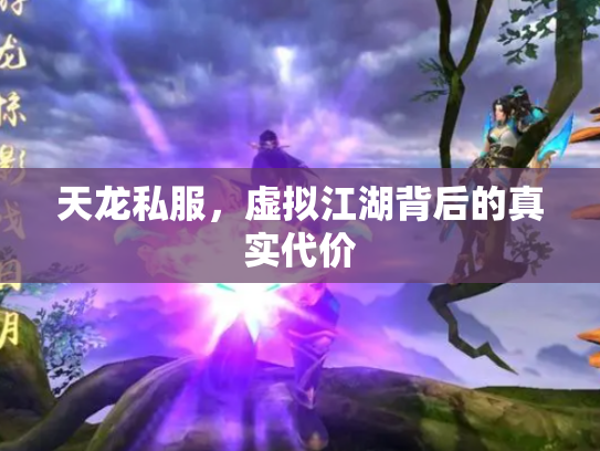 天龙私服，虚拟江湖背后的真实代价