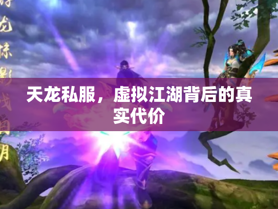 天龙私服，虚拟江湖背后的真实代价