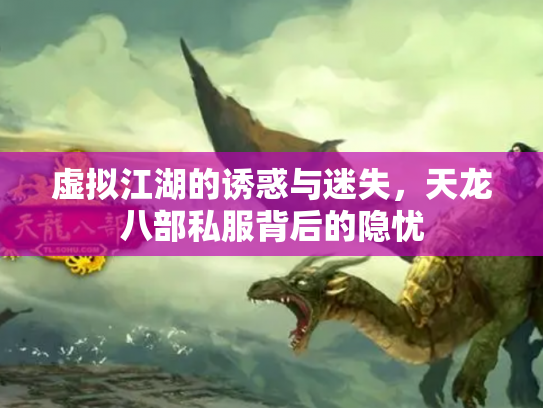 虚拟江湖的诱惑与迷失，天龙八部私服背后的隐忧
