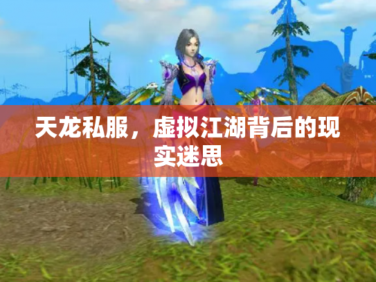 天龙私服，虚拟江湖背后的现实迷思