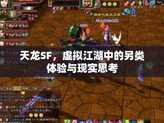 天龙SF，虚拟江湖中的另类体验与现实思考