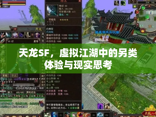 天龙SF，虚拟江湖中的另类体验与现实思考