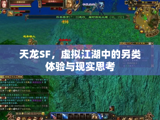天龙SF，虚拟江湖中的另类体验与现实思考