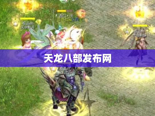 天龙八部发布网