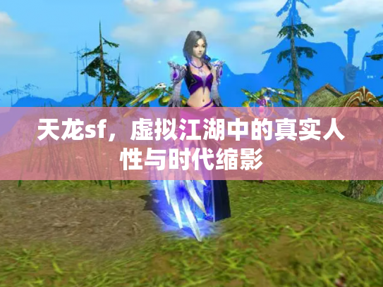 天龙sf，虚拟江湖中的真实人性与时代缩影