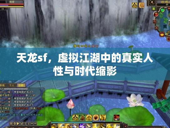 天龙sf，虚拟江湖中的真实人性与时代缩影