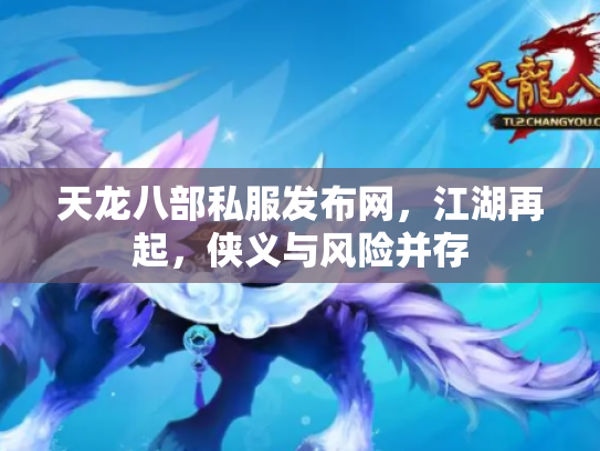 天龙八部私服发布网，江湖再起，侠义与风险并存