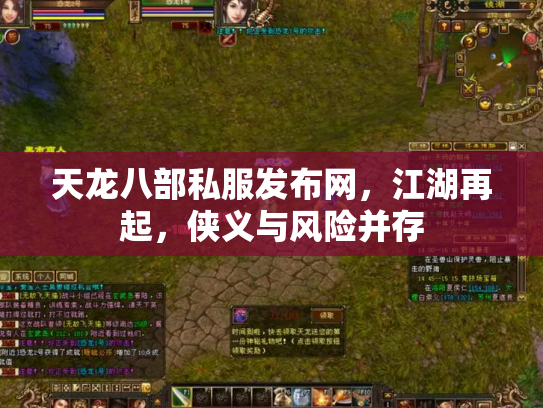 天龙八部私服发布网，江湖再起，侠义与风险并存