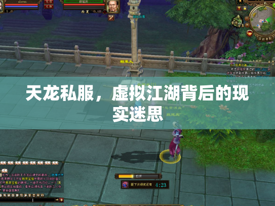 天龙私服，虚拟江湖背后的现实迷思