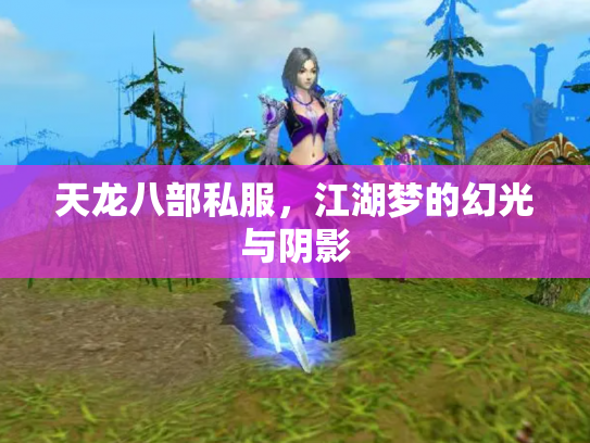天龙八部私服，江湖梦的幻光与阴影