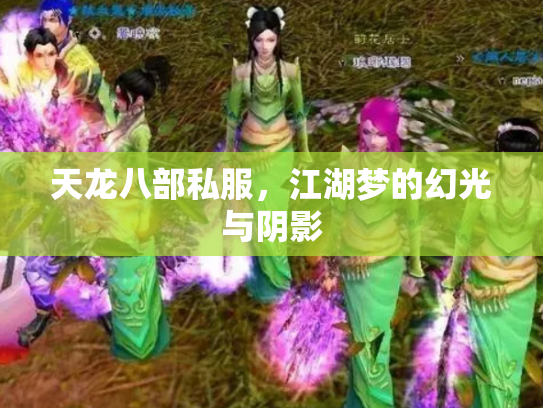 天龙八部私服，江湖梦的幻光与阴影