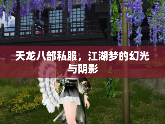 天龙八部私服，江湖梦的幻光与阴影