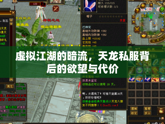 虚拟江湖的暗流，天龙私服背后的欲望与代价