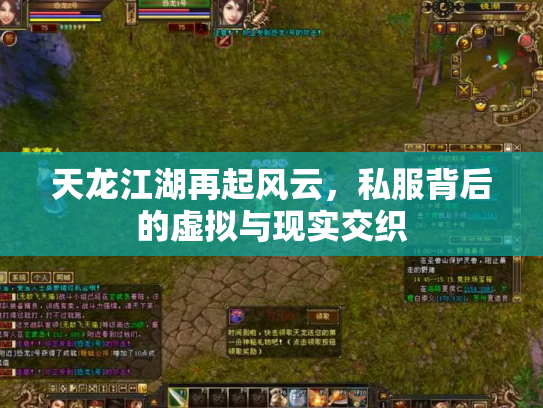 天龙江湖再起风云，私服背后的虚拟与现实交织