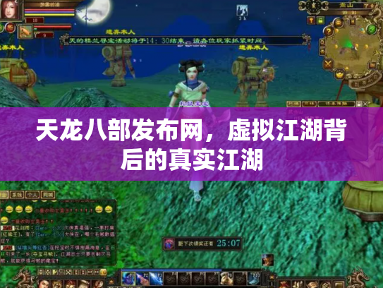 天龙八部发布网，虚拟江湖背后的真实江湖