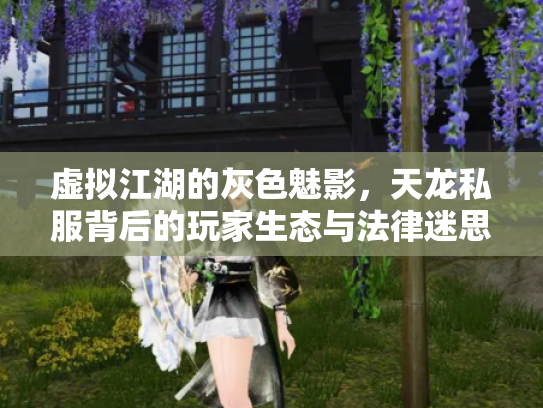 虚拟江湖的灰色魅影，天龙私服背后的玩家生态与法律迷思
