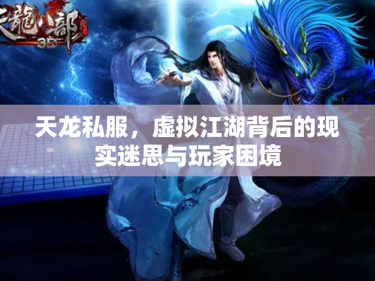 天龙私服，虚拟江湖背后的现实迷思与玩家困境